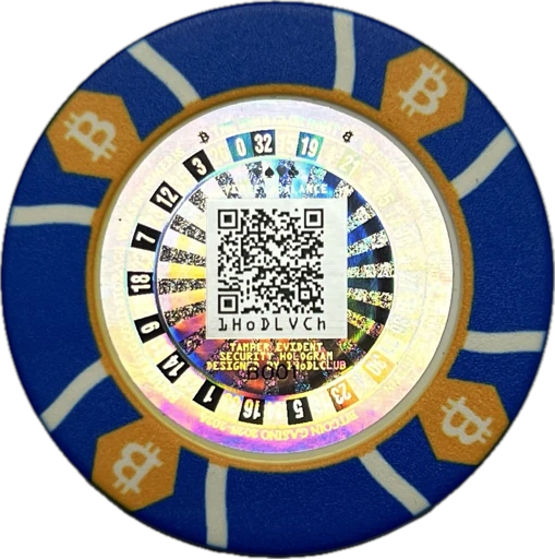 250 Bits Blue Chips back